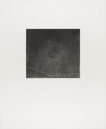 Vija Celmins, State proof for Web #2, [n.d.]