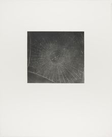 Vija Celmins, State proof for Web #2, [n.d.]