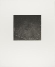 Vija Celmins, State proof for Web #2, [n.d.]