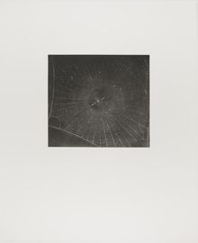 Vija Celmins, State proof for Web #2, [n.d.]