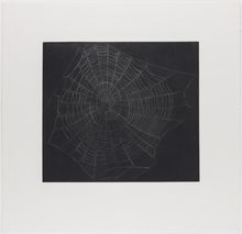 Vija Celmins, State proof for Web #1, [n.d.]