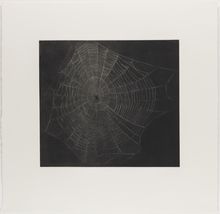 Vija Celmins, State proof for Web #1, [n.d.]