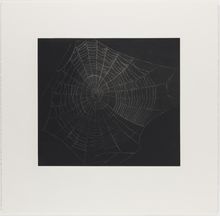 Vija Celmins, State proof for Web #1, [n.d.]