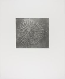 Vija Celmins, State proof for Web #1, [n.d.]