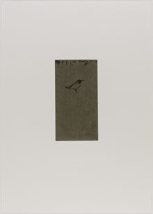 Marvin Harden, Color, trail, and state proofs for Natural Selections, [n.d.]