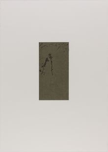 Marvin Harden, Color, trail, and state proofs for Natural Selections, [n.d.]