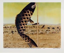 Patrick Nagatani, Japanese Children's Day Carp Banners, Paguate Village, Jackpile Mine Uranium Tailings, Laguna Pueblo Reservation, New Mexico, 1991