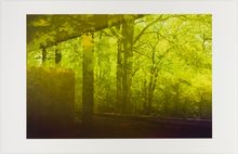 James Welling, 6618, 2008