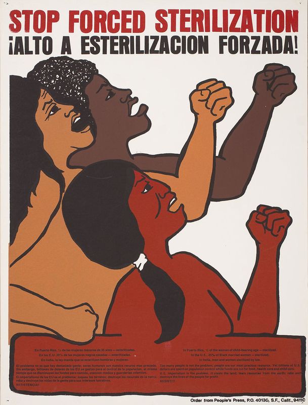 People’s Press Workshop, Stop Forced Sterilization, ca. 1974.
