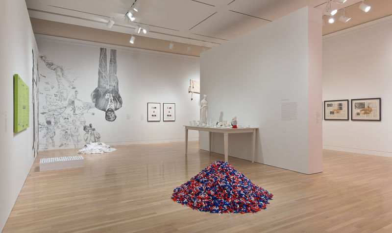 Take It or Leave It: Institution, Image, Ideology. February 9–May 18, 2014. Photography by Brian Forrest