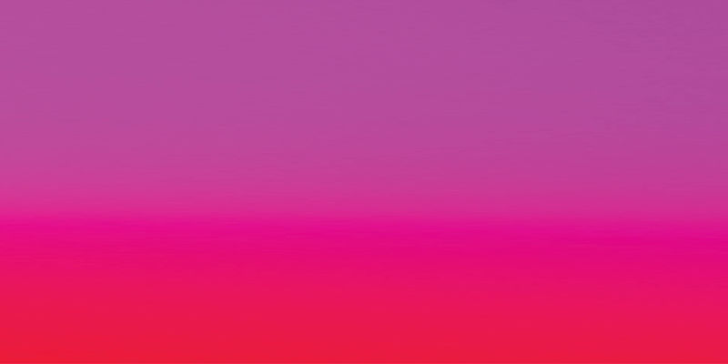 Hammergram header