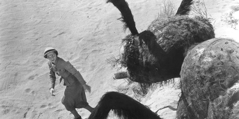 Them!, 1954