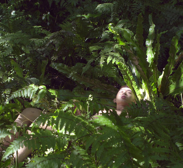 A man lays nude, surrounded by verdant ferns