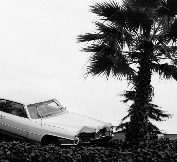 Black and white image of a car run off the road next to a palm tree