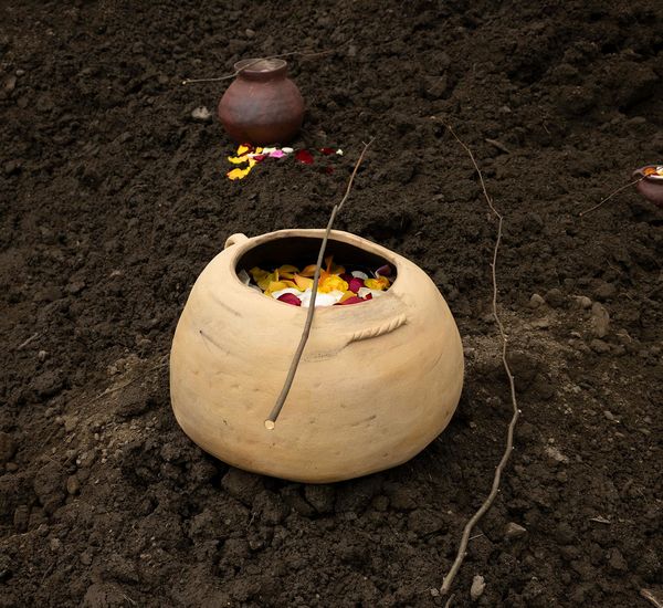 Three earthen pots, filled with flower petals with a twig laying across the top, on a bed of soil