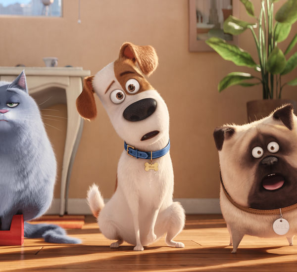 Three animated pets - a cat and two dogs - making funny faces