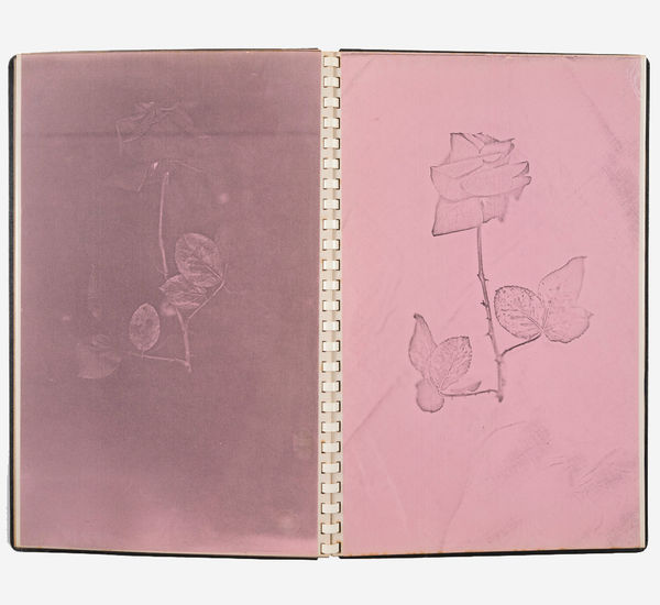 Open book with light pink impressions of a rose