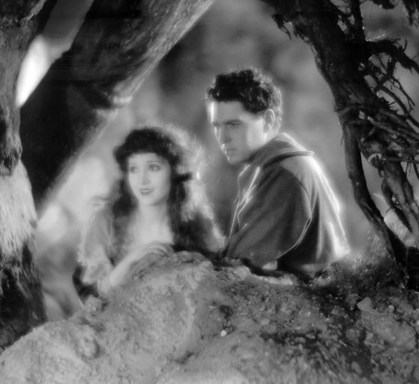 A woman and a man, viewed in soft focus through the boughs of a tree