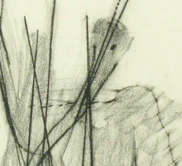 Chalk drawing of a shadowy figure behind a composition of vertical lines