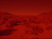 Laida Lertxundi, Sunset Red, 2016. 16mm transferred to HD, color, sound. 4 min. Courtesy of the artist.