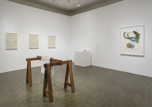 Nowhere Better than This Place, installation view