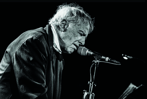 Mayo Thompson performing a live concert