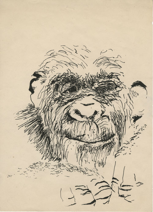 Paul McCarthy's self portrait is a line drawing of a gorilla's head and hands.