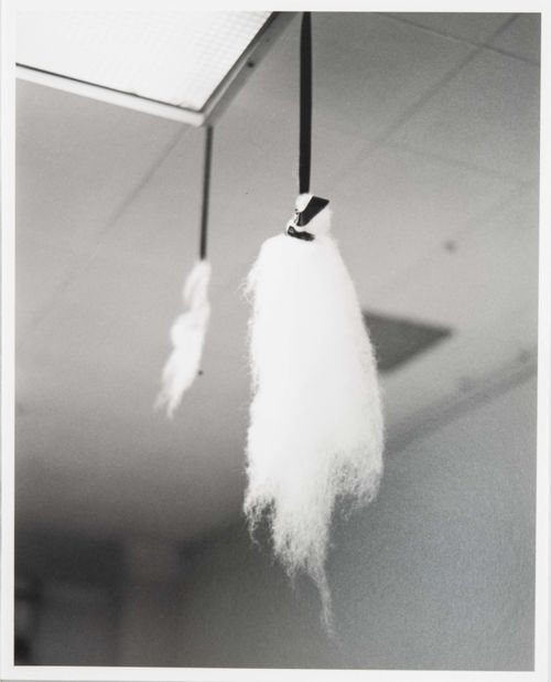 Two feathers hang from a ceiling
