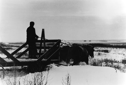 Still from the film Northern Lights (1978) showing a man on a hay wagon being pulled by horses