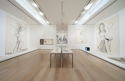Installation view of 'Paul McCarthy: Head Space, Drawings 1963–2019' at the Hammer Museum