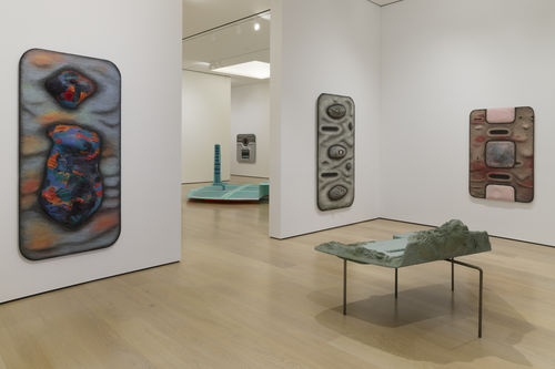 Install shot of 'Tishan Hsu: Liquid Circuit' at the Hammer Museum