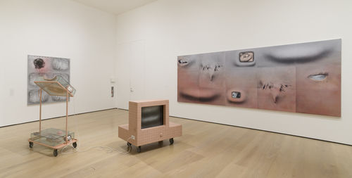 Install shot of 'Tishan Hsu: Liquid Circuit' at the Hammer Museum