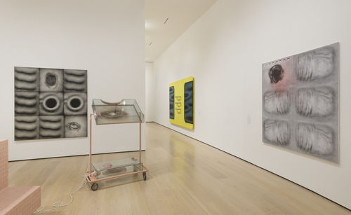 Install shot of 'Tishan Hsu: Liquid Circuit' at the Hammer Museum