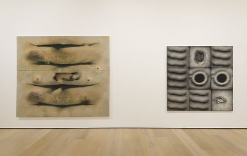 Install shot of 'Tishan Hsu: Liquid Circuit' at the Hammer Museum