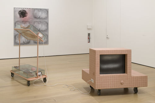 Install shot of 'Tishan Hsu: Liquid Circuit' at the Hammer Museum