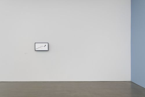 A small video installation of a bird on a branch hangs on a large white gallery wall