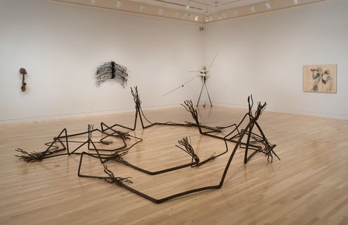 A wire rope sculpture on a gallery floor