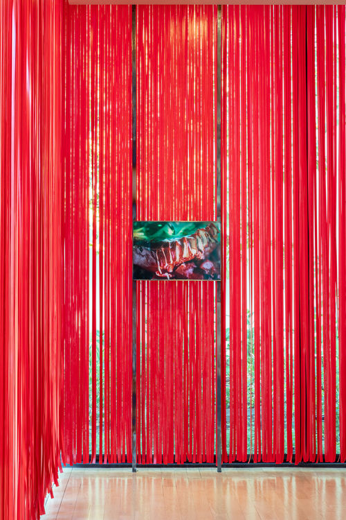 A photograph of a colorful, fleshy object hanging in front of a curtain of red ribbons