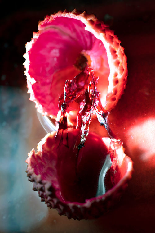 A pink organic sphere cracked open to reveal red tendrils inside