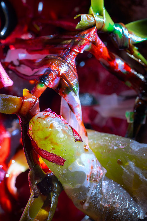 Yellow organic shapes covered in colorful strips of material