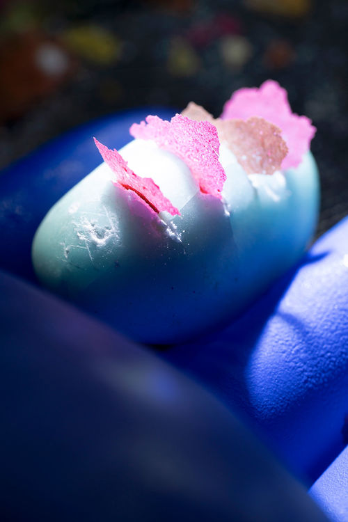 A blue pill-shaped object with transparent pink fins