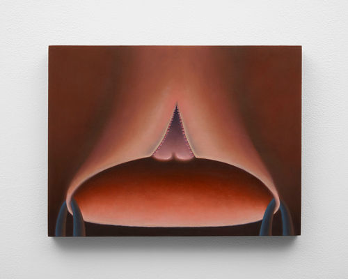 A painting of a fleshy cone with two straps hanging off of it