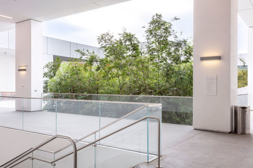 Photo of the Hammer Museum's outdoor terrace. At left the top of stairs are visible, and two white columns are visible at far end of terrace, where bamboo from below rises above the clear glass railing. Sky is visible in the background, at top of the image.
