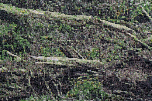 Close up shot of a nature painting