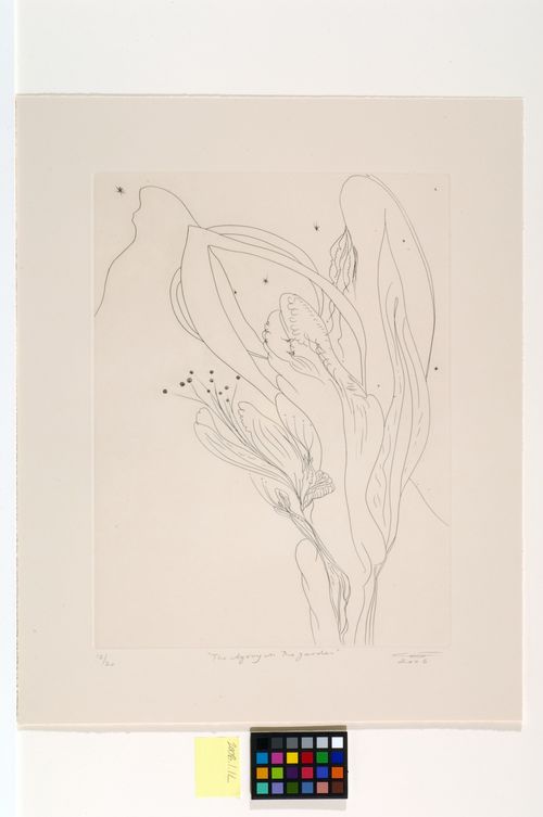 Line drawing of flowers