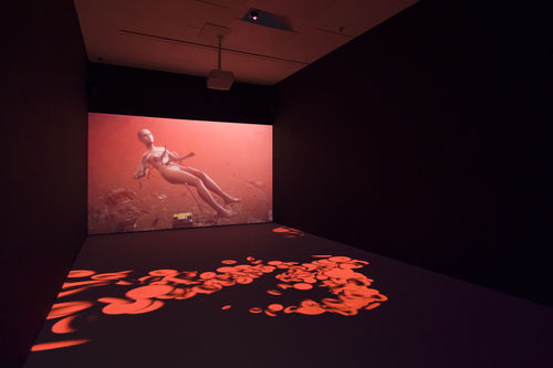 A screen in a dark room shows a 3d animated woman's naked body attached to several electrical cords, among a filed of electronic chips. Red blood cells are projected onto the floor of the room.