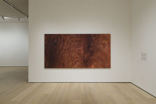 A large, brownish-red canvas depicting a fluid, skin-like texture.