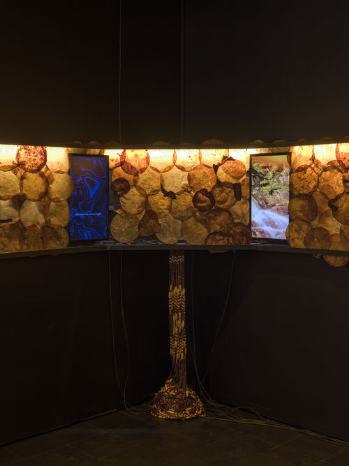 Closeup of an installation work of hundreds of scobies lined up on the walls of a room, with two screens displayed next to each other showing different videos of nature.