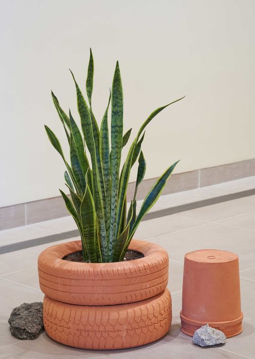 Installation view of 'Hammer Projects: noé olivas' at the Hammer Museum