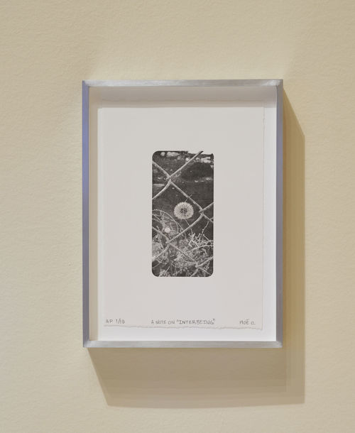 Installation view of 'Hammer Projects: noé olivas' at the Hammer Museum